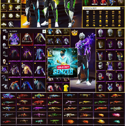 Delivered account with rare skins